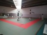 judo2.jpg